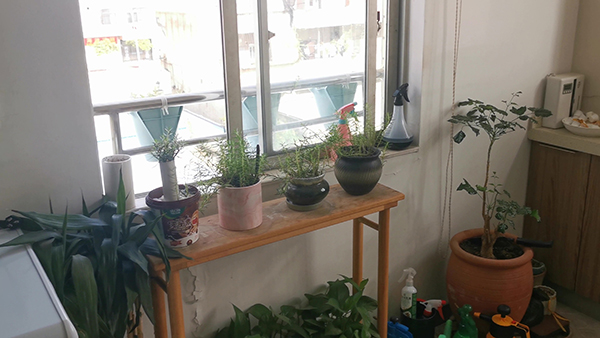 朋友圈扎心的心情短语 朋友圈晒百合花的心情短语