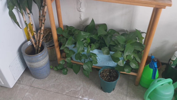 人事招聘话术技巧 