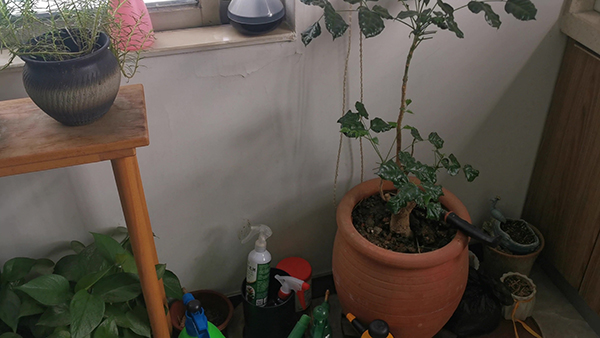 弈喻告诉我们什么道理 