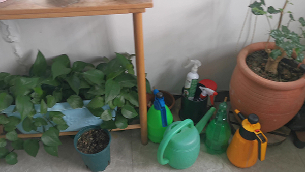 工程复工需要经过建设单位吗 工程复工令需要经建设单位