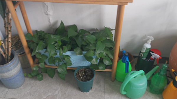 提倡环保标语:环境好生活就好